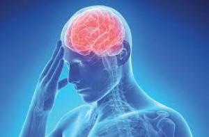 4fa6c5fa0a5cdb0d80fb2537cd5f6f64