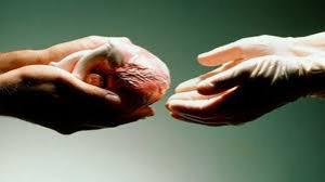 68f8654ee7b3abcc6c1505d9ebb0b99b