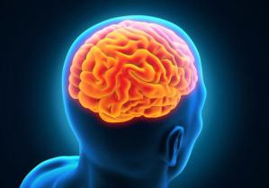 7332cb9d230a88a32b97d7770faef595