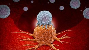 812e8f6e4ddb4f7693deb8ed10112e3b