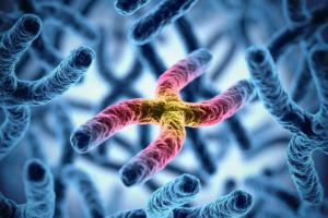 Ce5f9a65152604e63a5ce7a71f127587