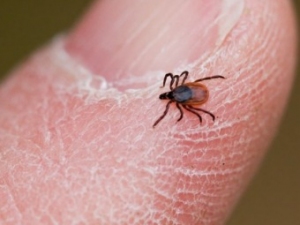 D00c20d05e57a84572c12a43cb0baed2