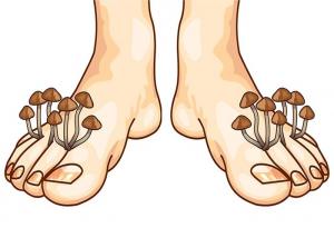 0f1c69369b119f9ce690952faf8714be