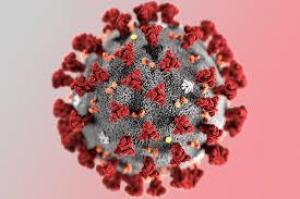 161fa607d0e66bd4b31297c7d208dc12