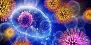 2114c8b4fa29b4c9c9cecab1cc3cc932