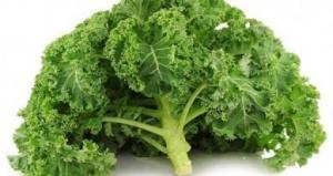 335f315fc76ccf688fdbdc536237a4b9