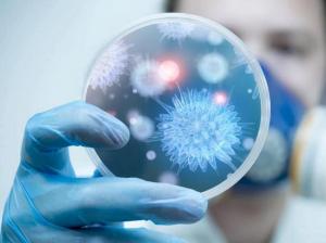 4920501a59ac5e6e66b75d7a93b5c72a