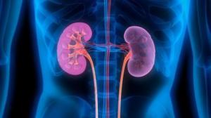 4abeb38bb3d497b7305bdc1711c10e84