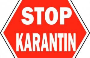 65354993e7ff7b1ab21bf191fa5b97b3