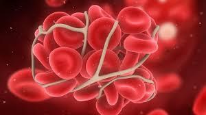 66dd9f245d8c598000365546d0340872