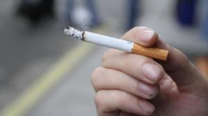 9d5452891e6d99e3d8f690153552eeb6