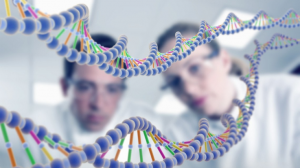 9ff3efb6ae86dddc8d0eb837c431268b