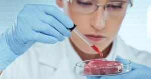 B6b7446e884ada73ca1731df7fedf0d8