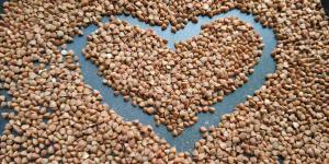 B7bb3a7f9aeba6307e03186bfad19649